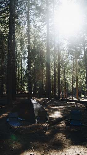 sequoia national park black tent united states